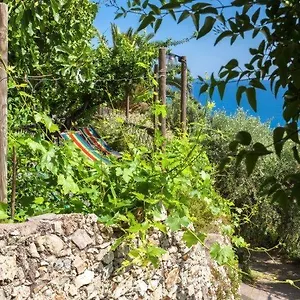 Agriturismo La Selva Alloggio per agriturismo Finale Ligure